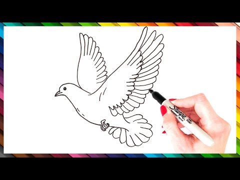 How To Draw A Dove Step By Step | EASY Dove Drawing Tutorial