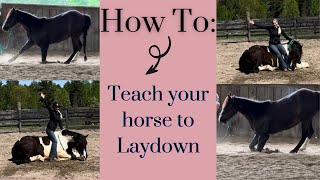 How To Teach Your Horse To Lay Down!!