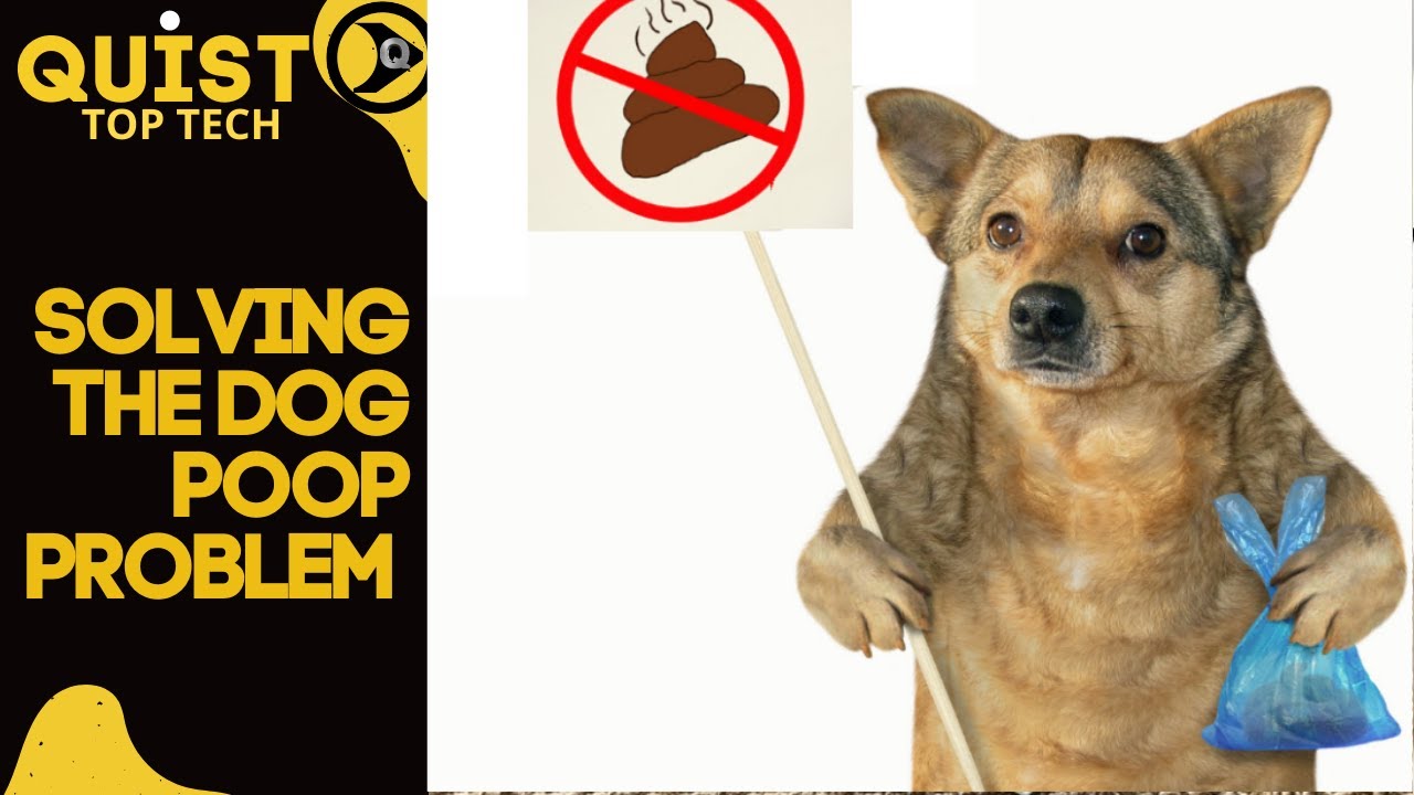 HOW TO DEAL WITH DOG POOP IN THE HOOD YouTube