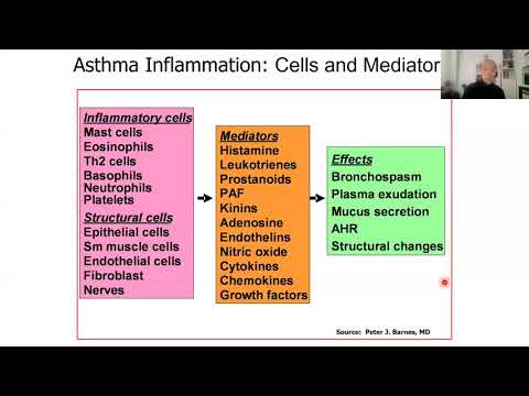 Video Dược học các thuốc điều trị hen và COPD - youtube