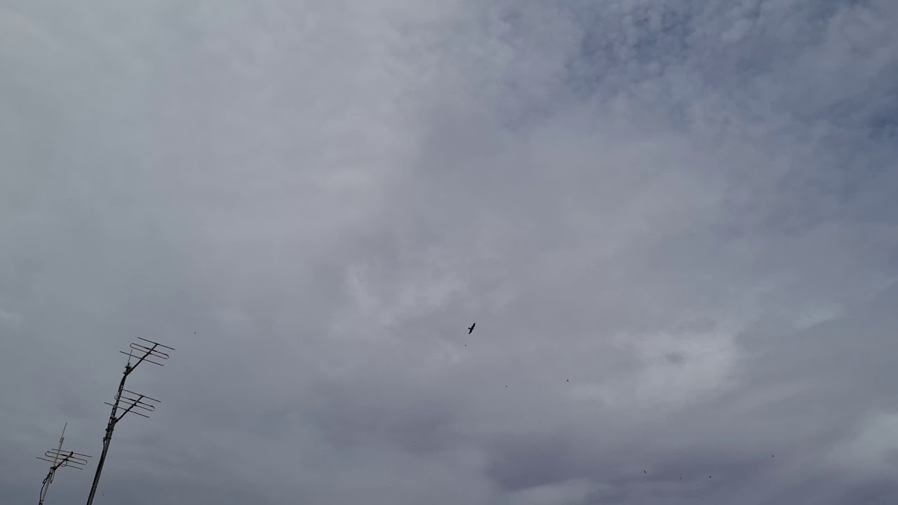 🛸Wycliffe Well ~ UFO Capital of Australia~ #3🛸 💫👽 December 29th 2020 👽💫