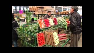 LA CAPITAL TV # 42 - PRODUCCION FLORES DE CORTE