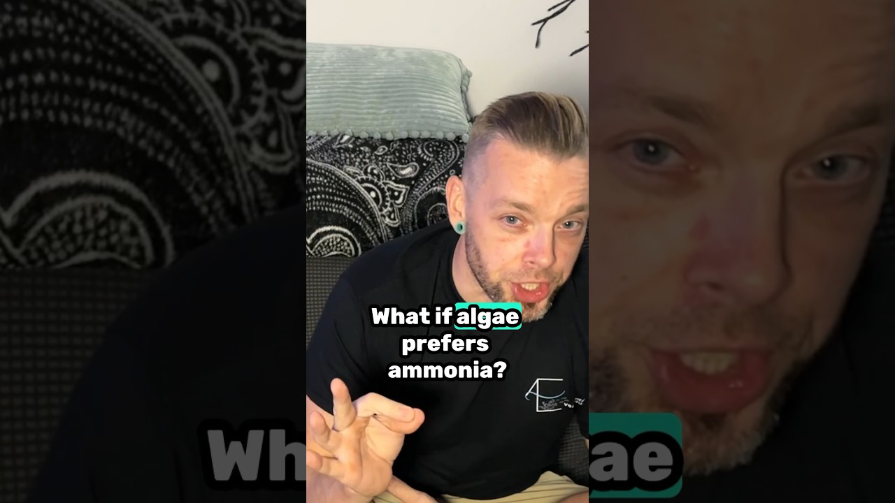What causes algae? Do plants prefer ammonia? 🫥 