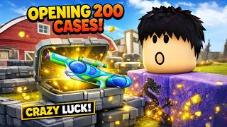 I Opened 200 Luggage Cases