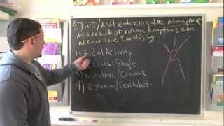 8th Grade New York State Science Test prep 3/80