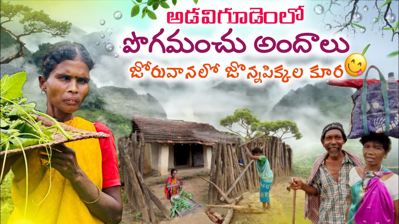 MISTY Jungle Village & COOK/జోరువానలో జొన్నపిక్కల కూర/కొండగ్రామాన్ని కమ్మిన పొగమంచు @TribalMirror 