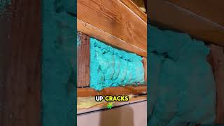 No More Drafts! This Spray Foam Actually Works 🔥