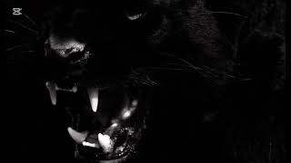 The Red Train Project /Vol Ii / Black Panther / Volkan Ay /Ai