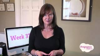 "37 Weeks Pregnant" by PregnancyChat.com @PregChat screenshot 1