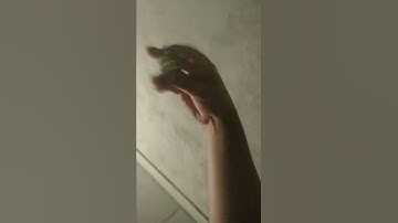 meu pai quando um raio cai aqui perto de casa ;-;