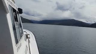 Kylesku Bridge And Loch Glencoul Boat Trip