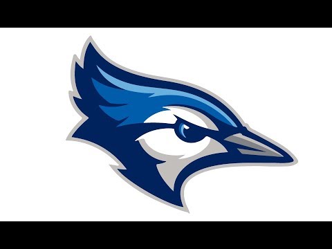Bird Mascot Logo Design || Adobe Illustrator Tutorial || Mascot Logo Design