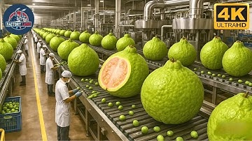 How to make  Guava Juice | Production Process From Fresh Harvest to Bottled Purity Full Process