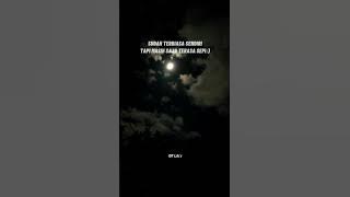 🔥STORY WA|| sudah terbiasa sendiri tapi masih saja terasa sepi