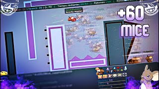 Transformice +60 MICE Gameplay - [2022] Gameplay #5