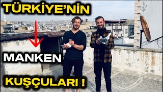 Türki̇yenin Manken Kuşçulari - Sağlam Güverci̇n Bi̇zi̇m İşi̇mi̇z 