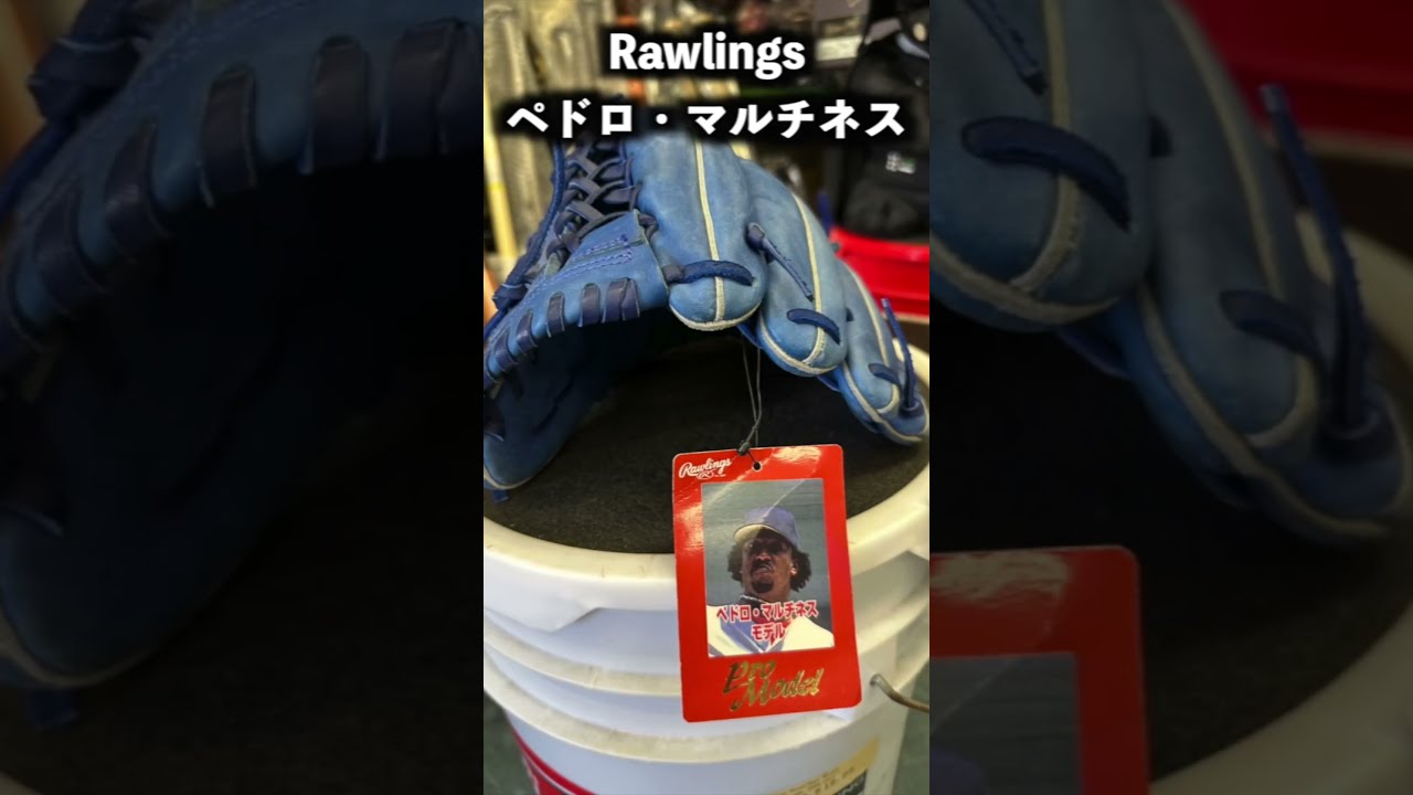 USA Rawlings グラブ ペドロ・マルティネス モデル HOH 投手用