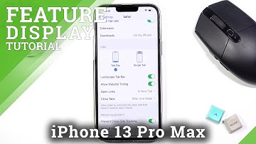 How to Allow Website Tinting on iPhone 13 Pro Max – Adjust Display