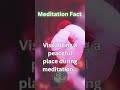Visualize peace meditation guidedmeditation visulization peace habits mindset