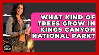 What Kind Of Trees Grow In Kings Canyon National Park - Exploring Campgrounds