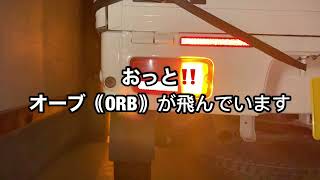ピクシス(ハイゼット)トラック テール•ブレーキ•リヤウインカーLED(これはハイフラになったのでノーマルに戻しました)バルブに交換