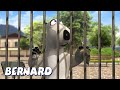 Bernard Bear | Behind Bars AND MORE | Cartoons for Children | Full Episodes