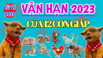 [full] Vận Hạn 2023 của Tuổi TÝ SỬU DẦN MÃO THÌN TỴ NGỌ MÙI THÂN DẬU TUẤT HỢI @Luangiai12congiap