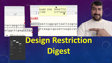 Restriction enzyme digestion