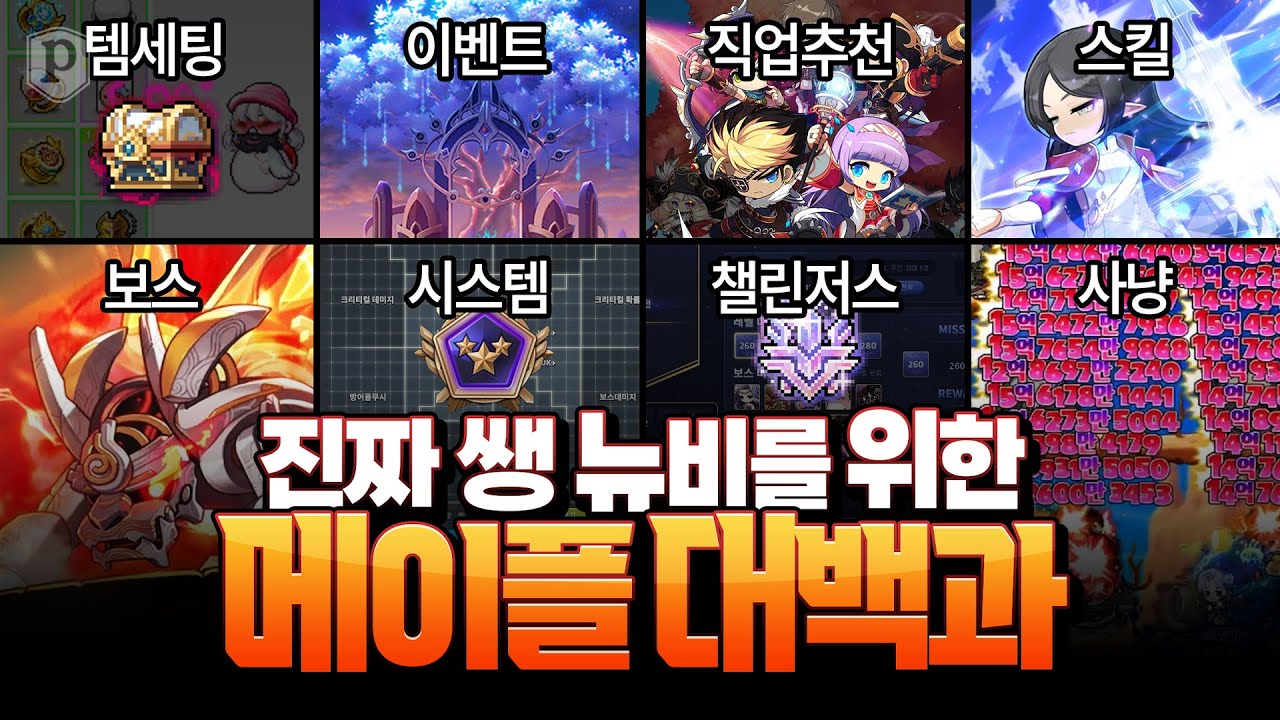 「뉴비 필수 시청」영상 하나로 끝내는 챌린저스 서버 2025.ver