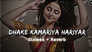 #video |ओही रे जगहीया | #Ram Swaroop Faizabadi, #Goldi yadav | Ohi Re jagahiya | New bhojpuri song 