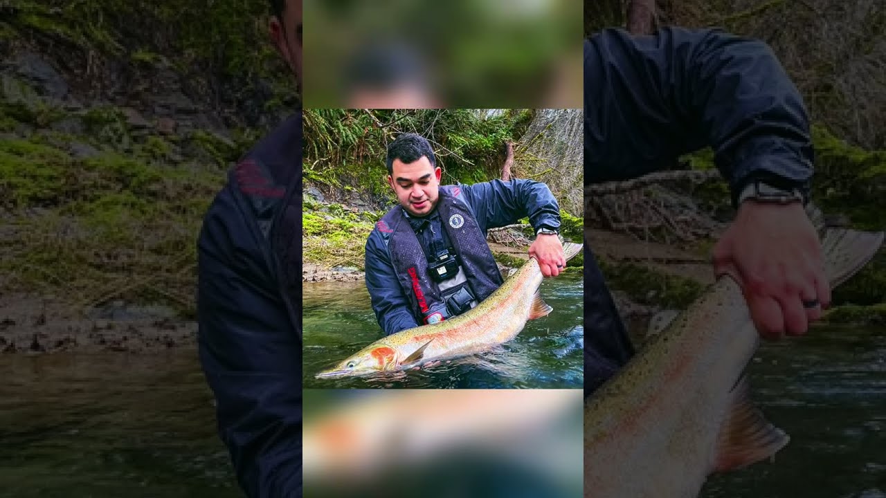 20+lb Winter Steelhead Runs Me Downriver