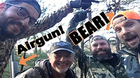 Airgun Hunting for Bear with Big Bore Air Rifle : American Airgunner
