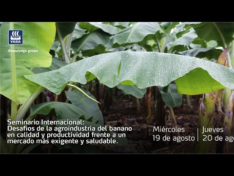 Seminario Internacional en el cultivo del Banano (Dia 1)