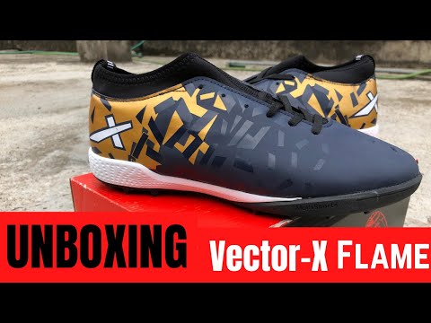 vector x fizer