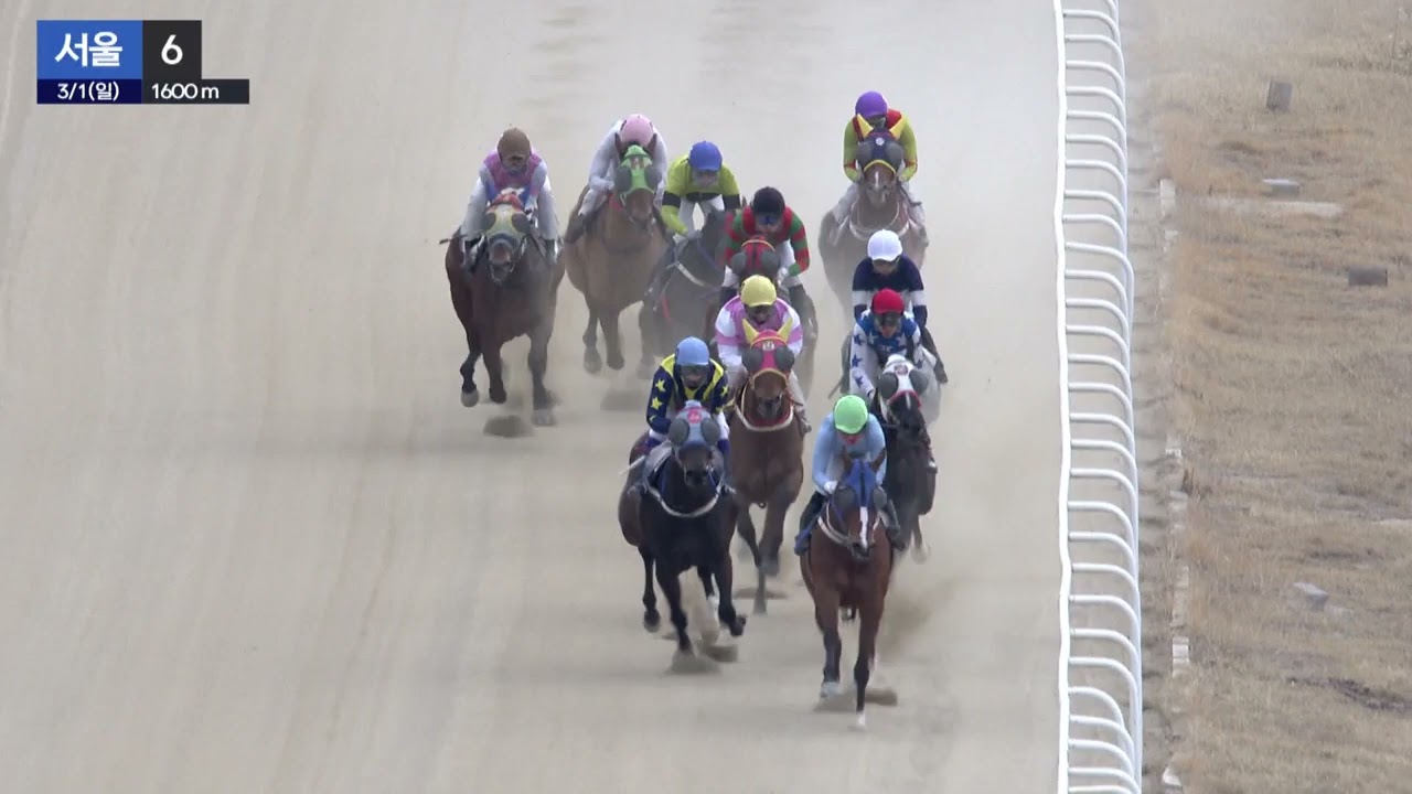 동하야,인기1위 졸전,우야라꼬.쌍승식: ④③ 50.7
