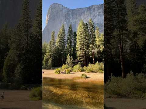 Video: Yosemitský národní park: Kompletní průvodce