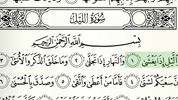 سورة الليل الشيخ هاني الرفاعي