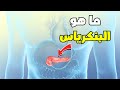 Watch What is the pancreas and how does it work inside the body Educate Yourself _ What is th  mp3