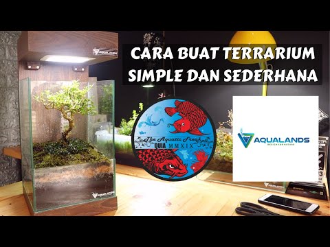 terrarium-bonsai---cara-membuat-terrarium-simple-dan-sederhana