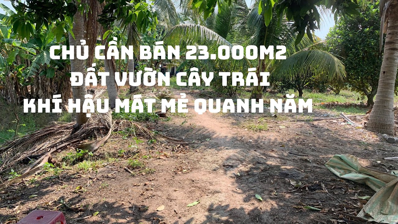 Đất Vườn Đồng Nai 23.000m2, đủ loại cây ăn trái - 130tr/1000m2