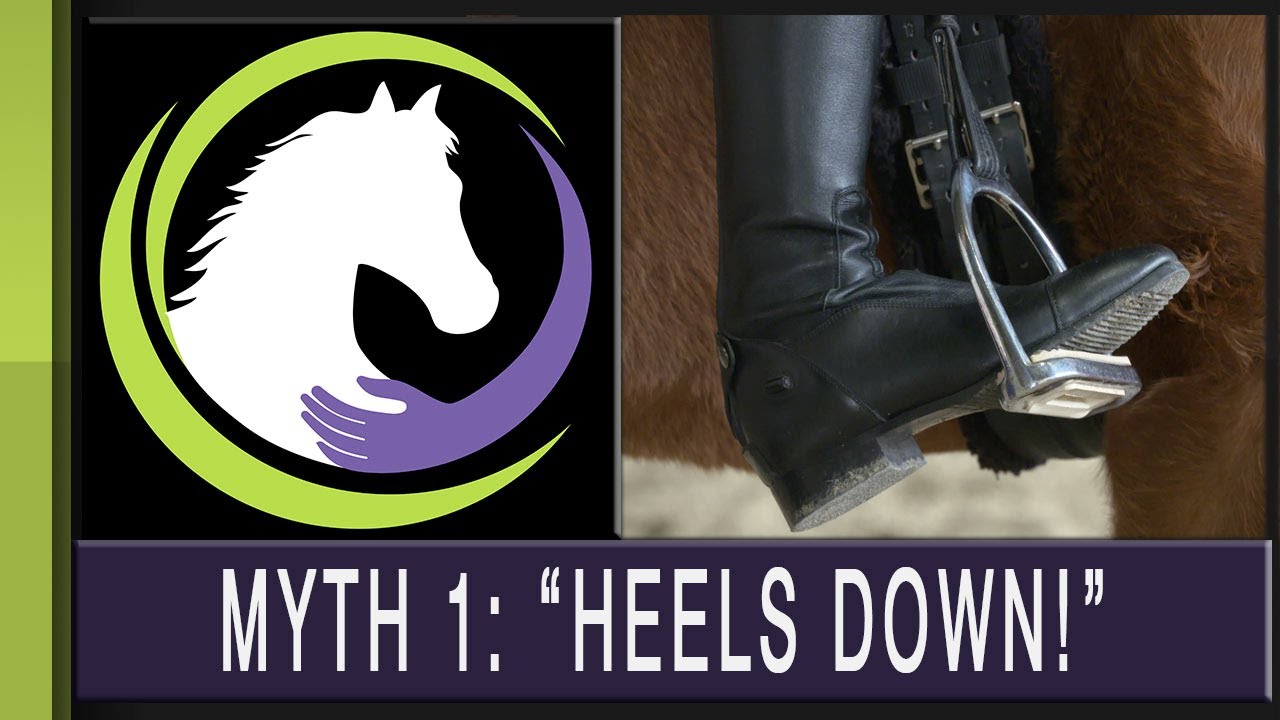 Top 5 Myths in Riding: 