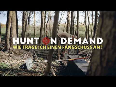 Uncomfortable! 🦝 How does a hunter handle THE DISPATCH? – @Freunde_der_Jagd Hunt on Demand Trailer