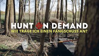 Unbequem! 🦝 Wie geht der Jäger mit dem ABFANGEN um? – @Freunde_der_Jagd Hunt on Demand Trailer