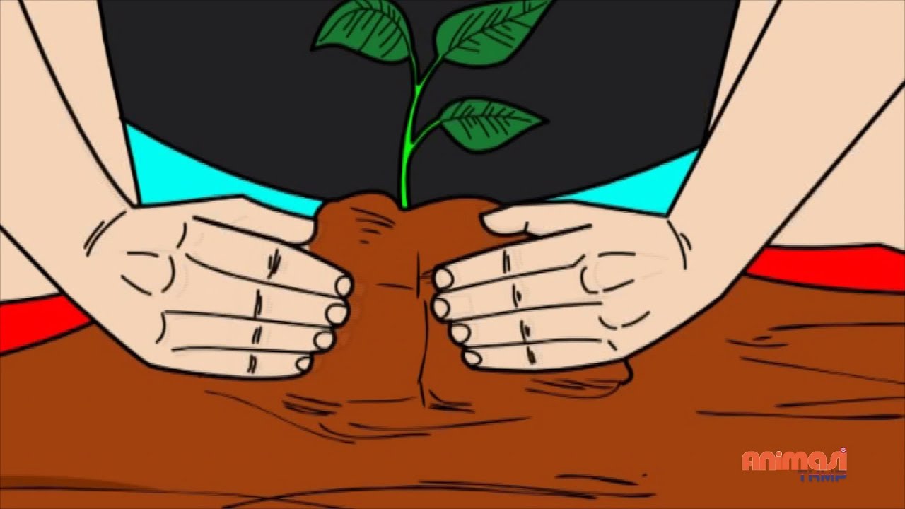 17+ Contoh Gambar Kartun Reboisasi - Gambar Kartun Ku