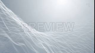 Particles White Background Motion Graphics
