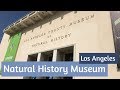 The Natural History Museum, Los Angeles