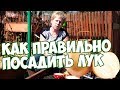 ПОСАДКА ЛУКА СЕВКА ВЕСНОЙ ✅ как правильно выращивать лук -  мастер-класс