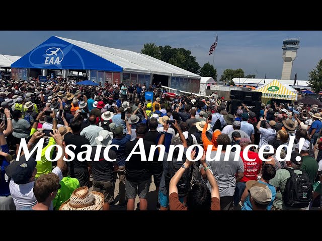 Mosaic Views by Industry Leaders 0725