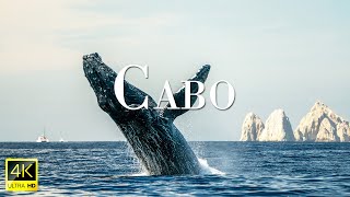 Cabo San Lucas 4K Drone Nature Film - Relaxing Piano Music - Amazing Nature