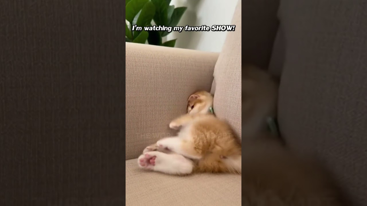 Alright, drama queen. Bedtime.😂😂 